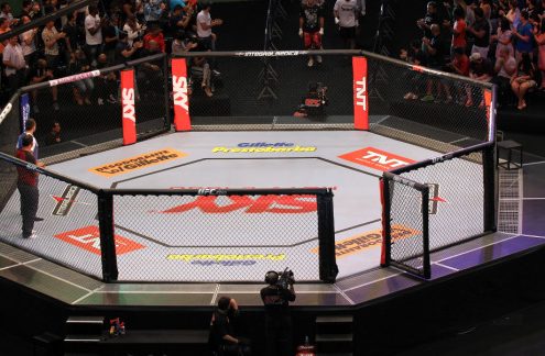 UFC Octogon