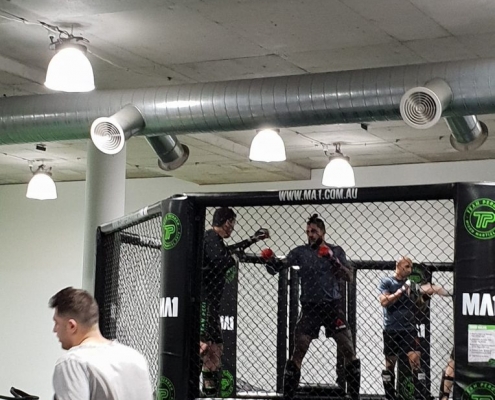 Tyson_Pedro_Anthony_Perosh_July_2018_2