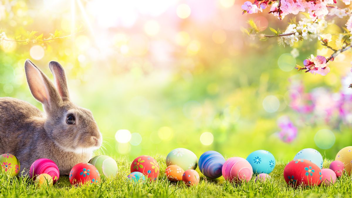 Easter schedule
