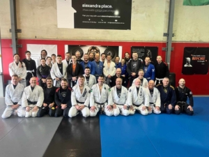 Stewies BJJ Seminar 2