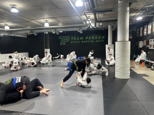 Mat rich BJJ class 2