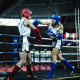 Muay Thai Kickboxing fighter Steven 1