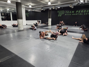 BJJ Brown & Black Belt Day June 2026 1