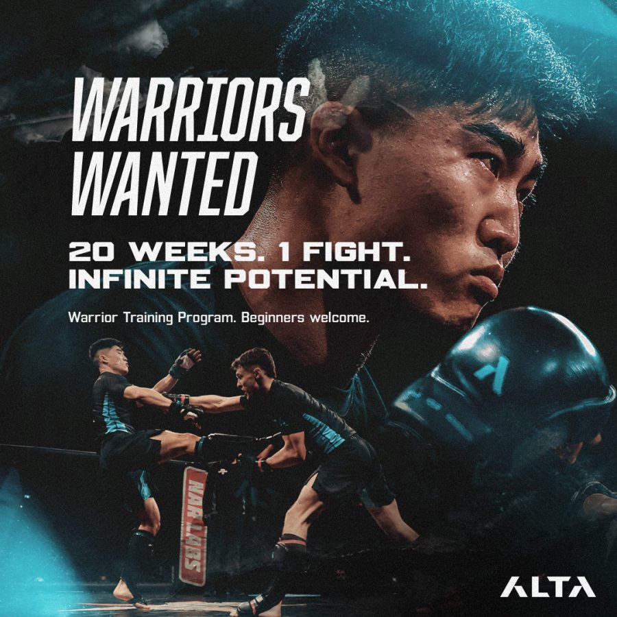Alta MMA Program