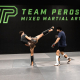 MMA results UFC