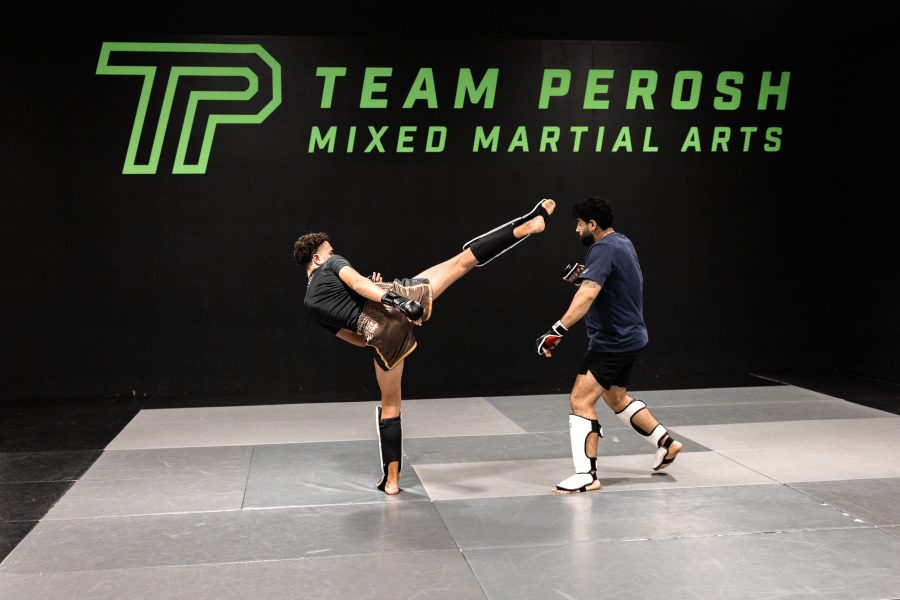 MMA results UFC