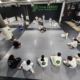 BJJ 8th Degree Coral Belt 3