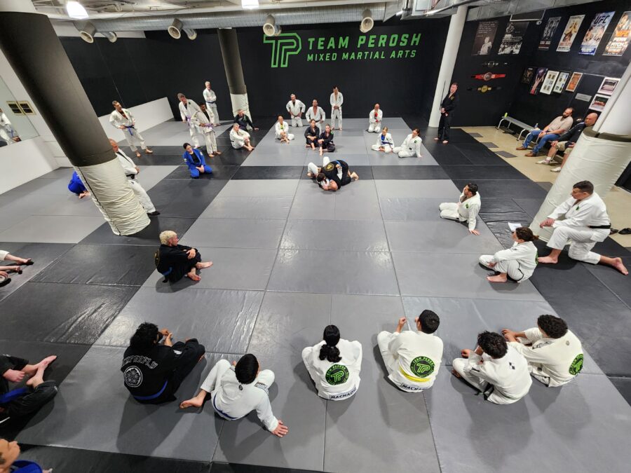 BJJ 8th Degree Coral Belt 3